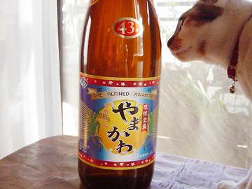 070311awamori.jpg