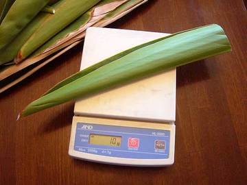 070311getto-tincture2.jpg