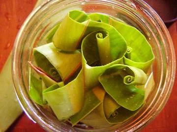 070311getto-tincture5.jpg