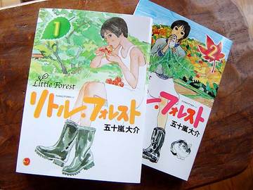 080409little-forest.jpg