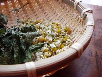 080525herb-tea.jpg