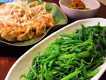 080830dinner.jpg