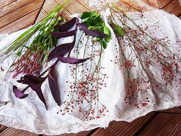 081018flower.jpg