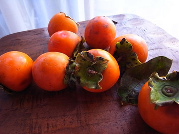 081018persimmons.jpg