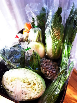 081123vegetables1.jpg