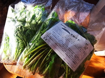 081123vegetables2.jpg