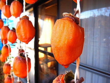 081130dry-persimmon1.jpg