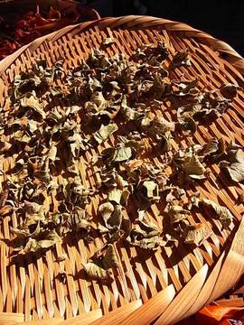 081130dry-persimmon3.jpg