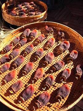 081210dry-persimmon1.jpg