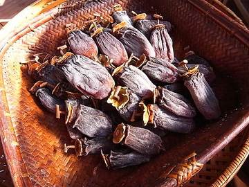 081221dry-persimmon1.jpg