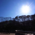 100110tama-zoo01.jpg