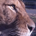 100110tama-zoo20.jpg