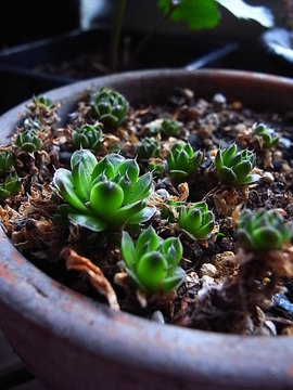 100228green02.jpg