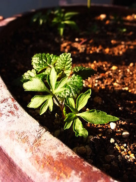 100228green04.jpg