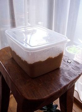 100310rice-bran-pickles2.jpg