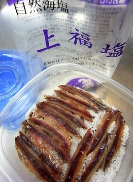 100419anchovy3.jpg
