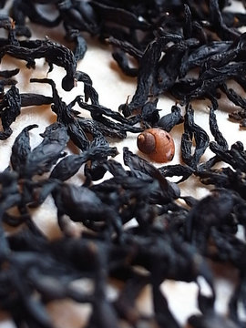 100428dried-hijiki2.jpg