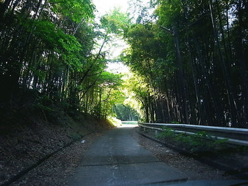 100521green1.jpg
