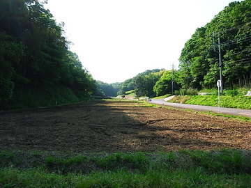 100521green2.jpg