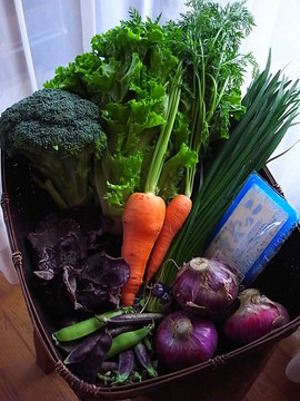 100521vegetables3.jpg