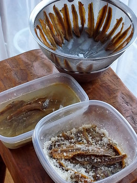 100801anchovy2.jpg