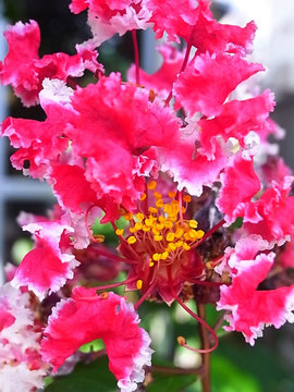 100815garden1.jpg