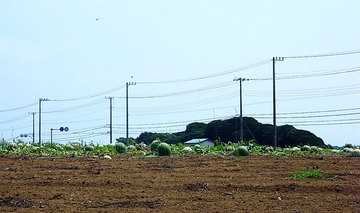 100816miura01.jpg