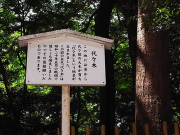 100825meiji-jingu07.jpg