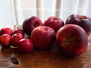 101012apple.jpg