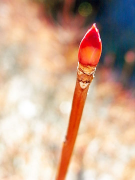 110110walk1.jpg