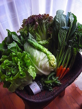110611vegetables.jpg