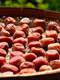 110816pickled-ume2.jpg