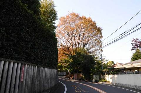 111123walk03.jpg