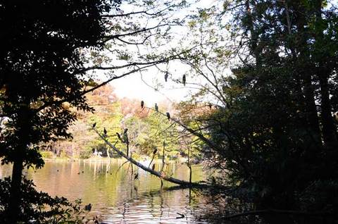 111123walk15.jpg