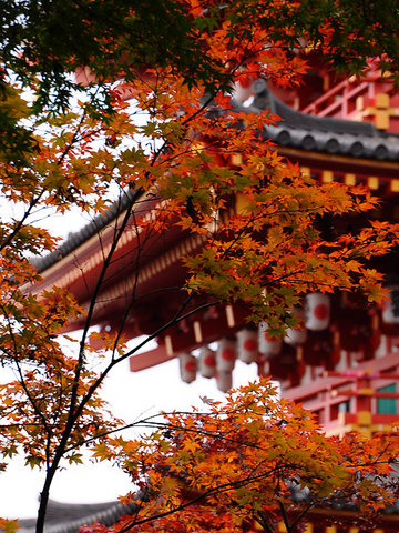 111127walk01.jpg
