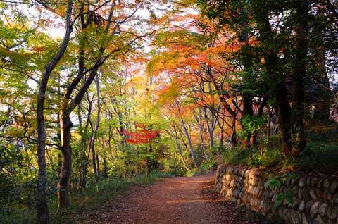 111127walk37.jpg