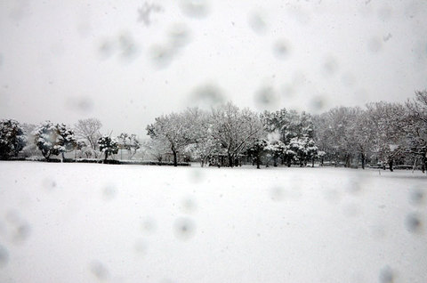 120229snow01.jpg