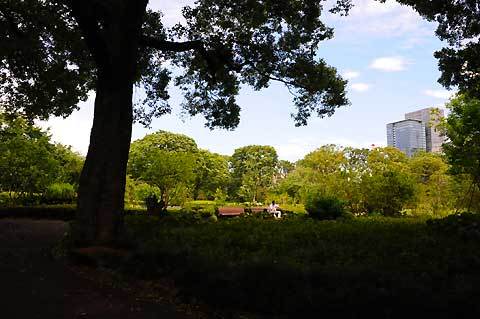 120620walk03.jpg