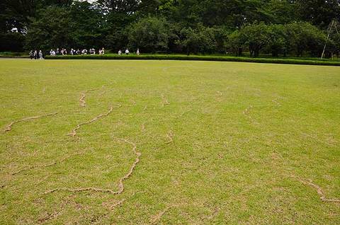 120620walk06.jpg