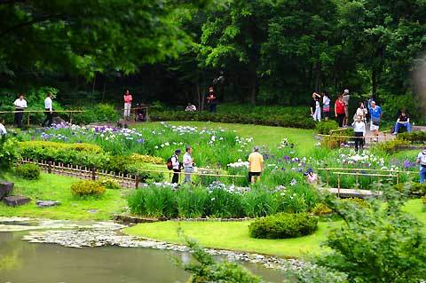 120620walk10.jpg