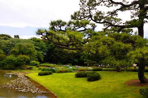 120620walk12.jpg