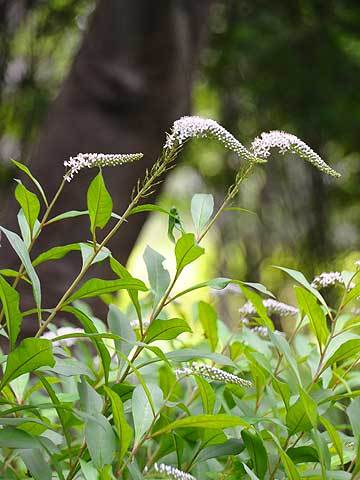 120620walk14.jpg