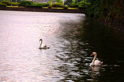 120620walk17.jpg
