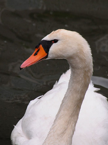 120620walk18.jpg