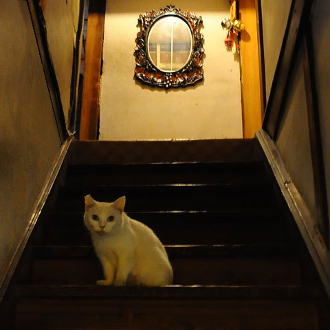 120814yuki1.jpg