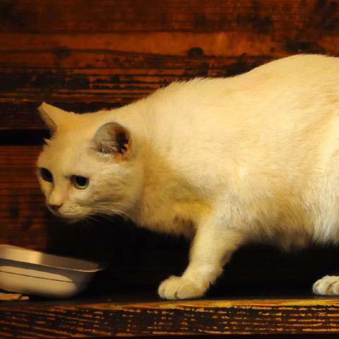 120814yuki2.jpg
