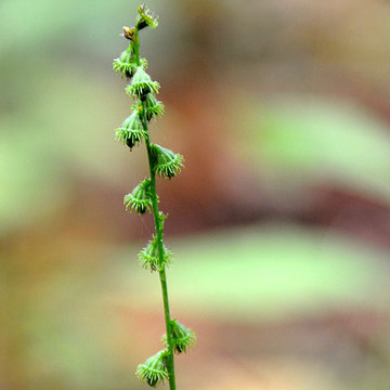 121007norikura43.jpg