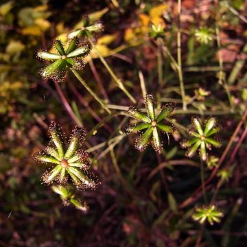 121104plants3.jpg