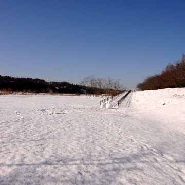 130115snow1.jpg