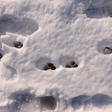 130115snow2.jpg
